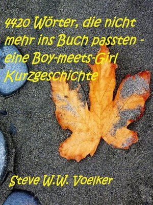 cover image of 4420 Wörter, die nicht mehr ins Buch passten--eine Boy-meets-Girl Kurzgeschichte